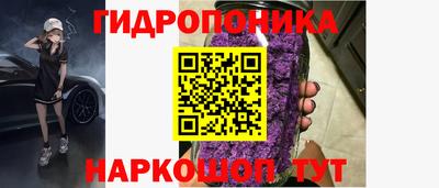 а пвп мука Ачхой-Мартан