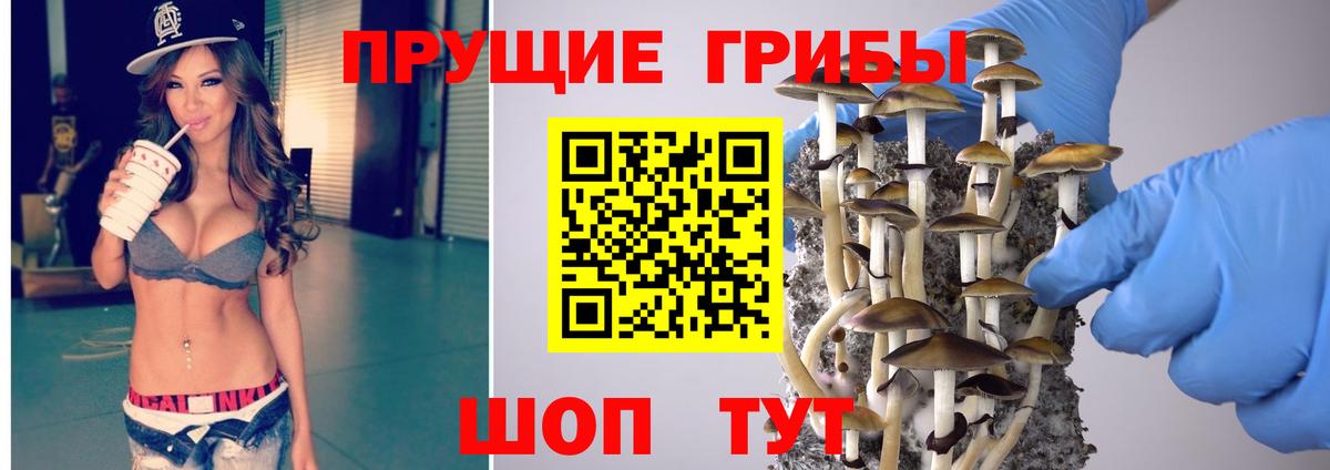 Галлюциногенные грибы Psilocybe Богородск